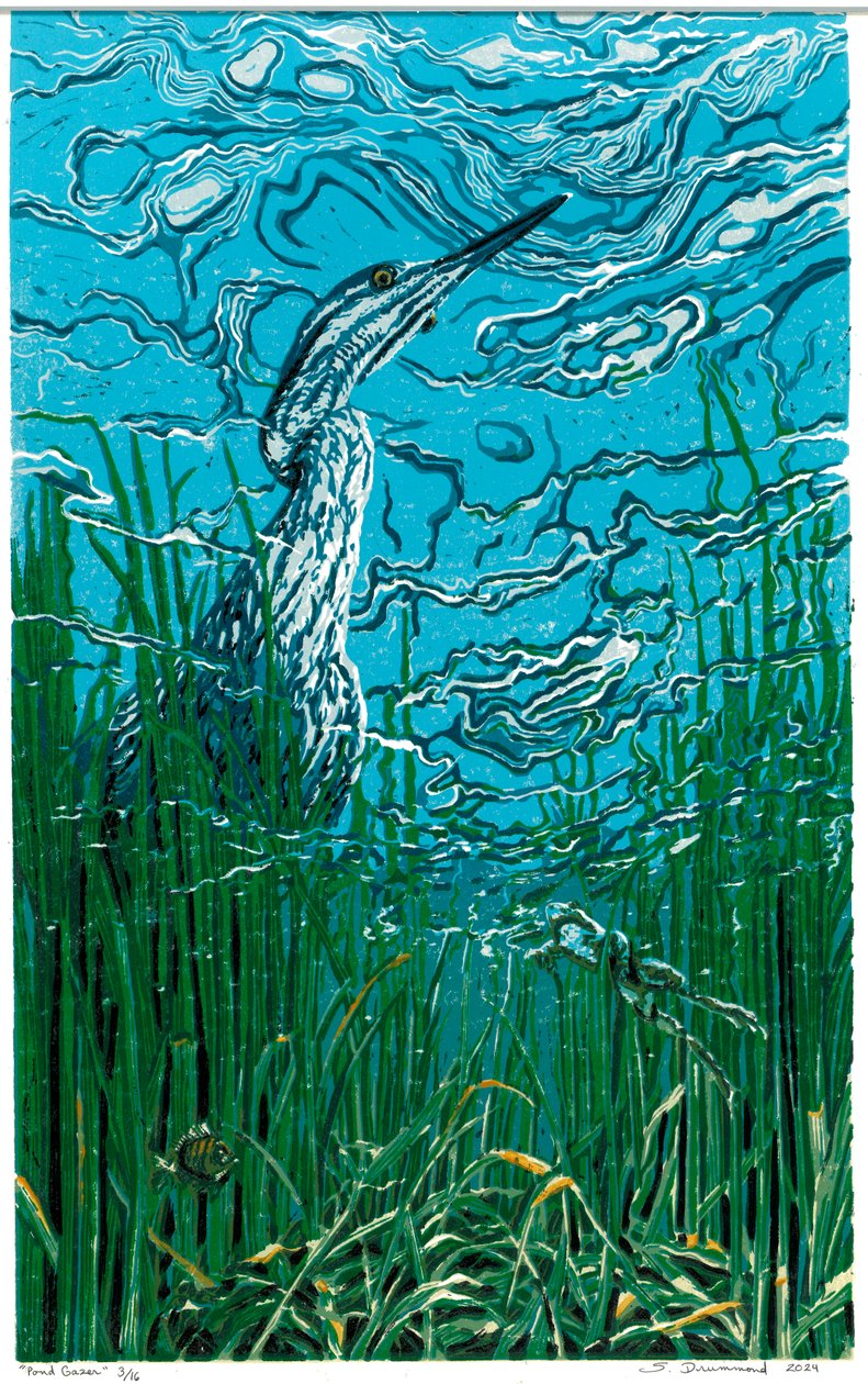 Mirador del estanque, 2024 (linograbado) de Sarah Drummond