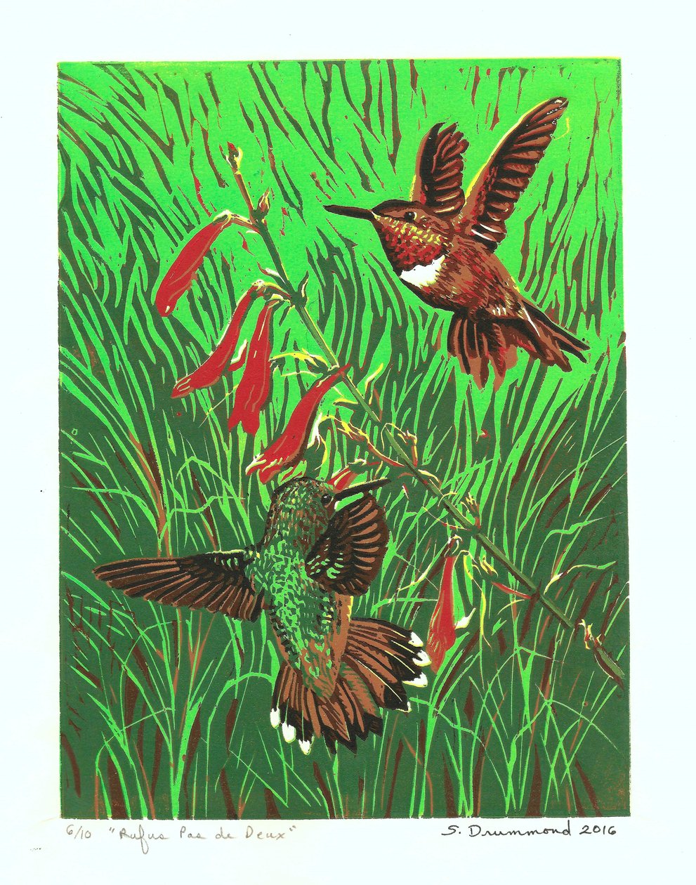 Rufus Pas de Deux, 2016 (Linograbado ) de Sarah Drummond