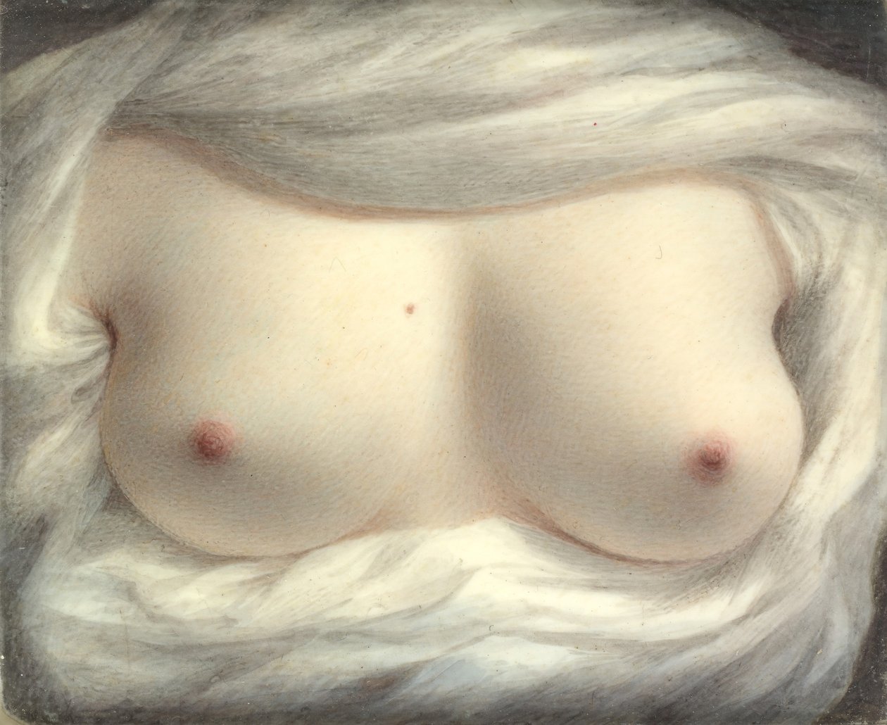 Belleza revelada, 1828 de Sarah Goodridge