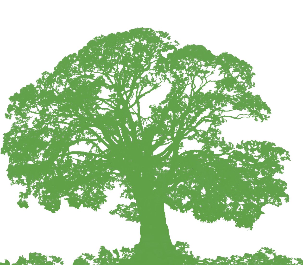 Árbol para Trepar, 2009 de Sarah Hough