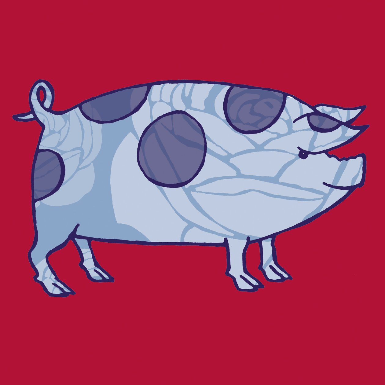 Cerdo del Valle de Piddle, 2005 de Sarah Hough