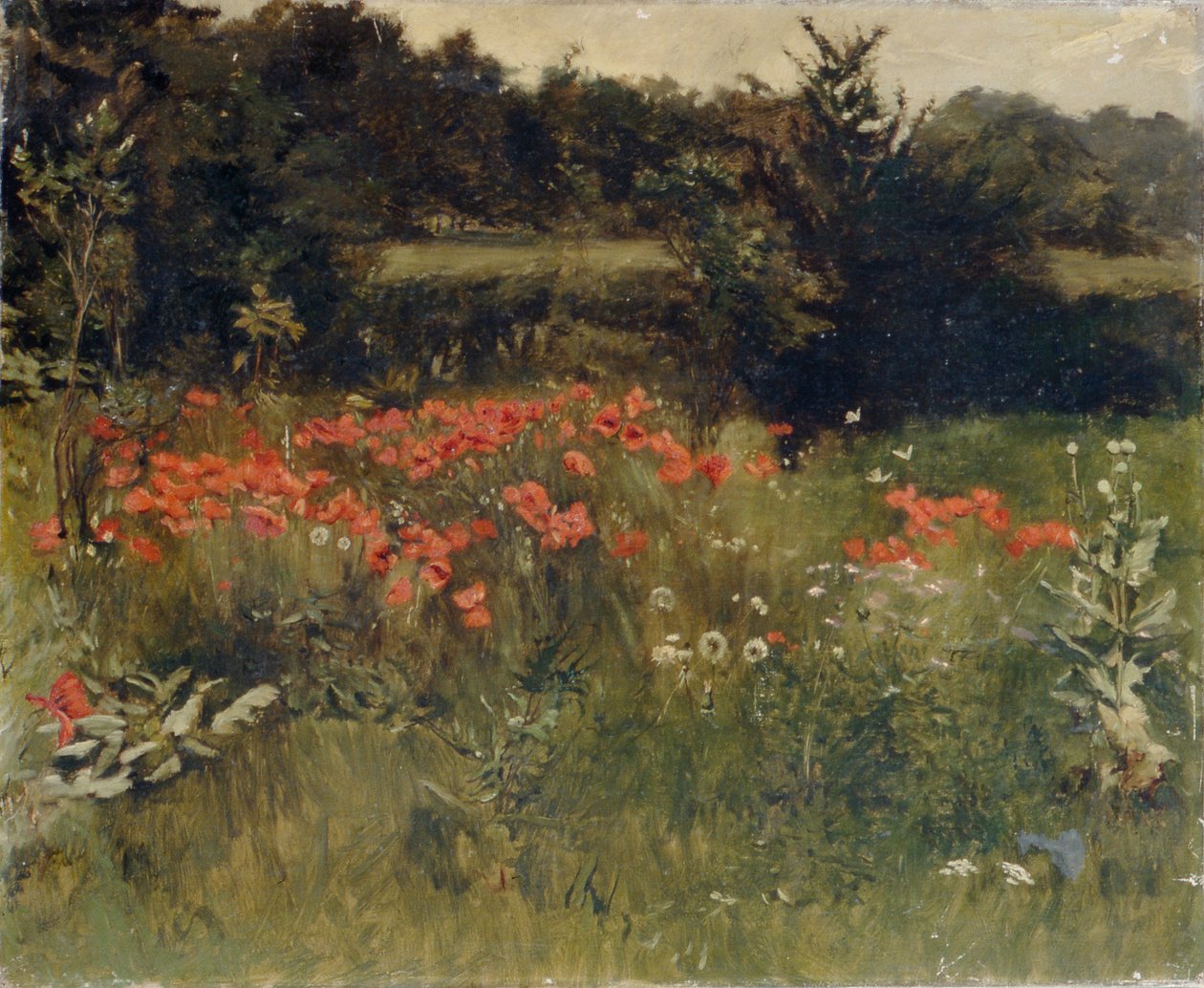 Amapolas, Reigate de Sarah Paxton Ball Dodson