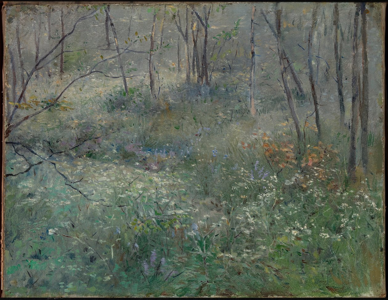 Perejil silvestre de Sarah Paxton Ball Dodson