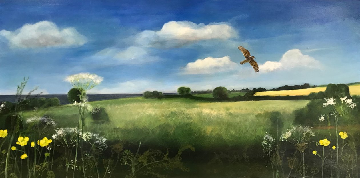 Buzzard, 2022 (óleo sobre tabla) de Sarah Thompson Engels