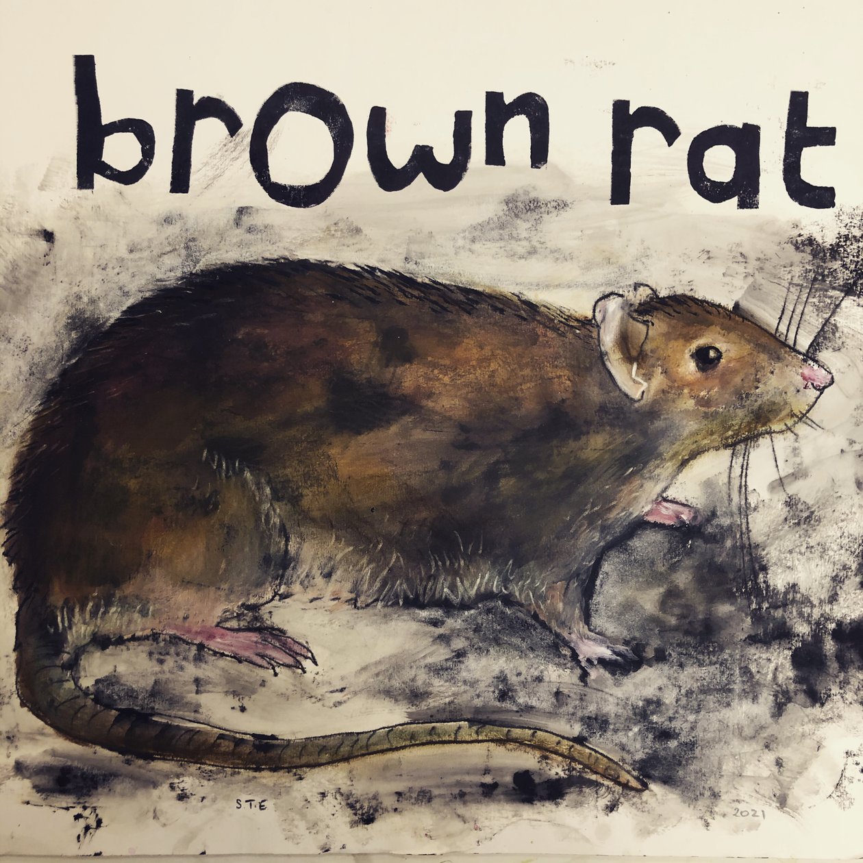 Rata marrón, 2021 de Sarah Thompson Engels