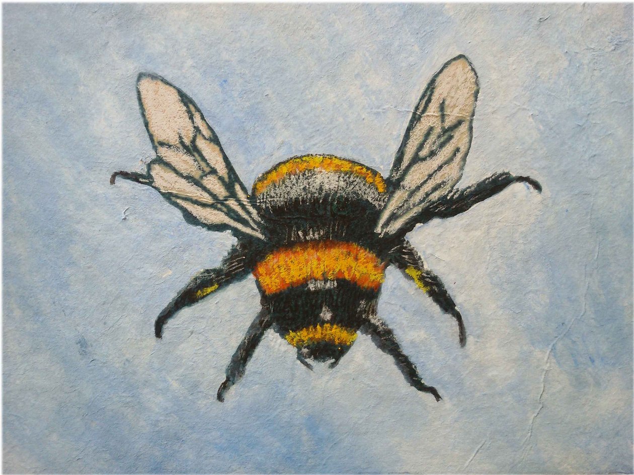 Abejorro, 2015 de Sarah Thompson Engels