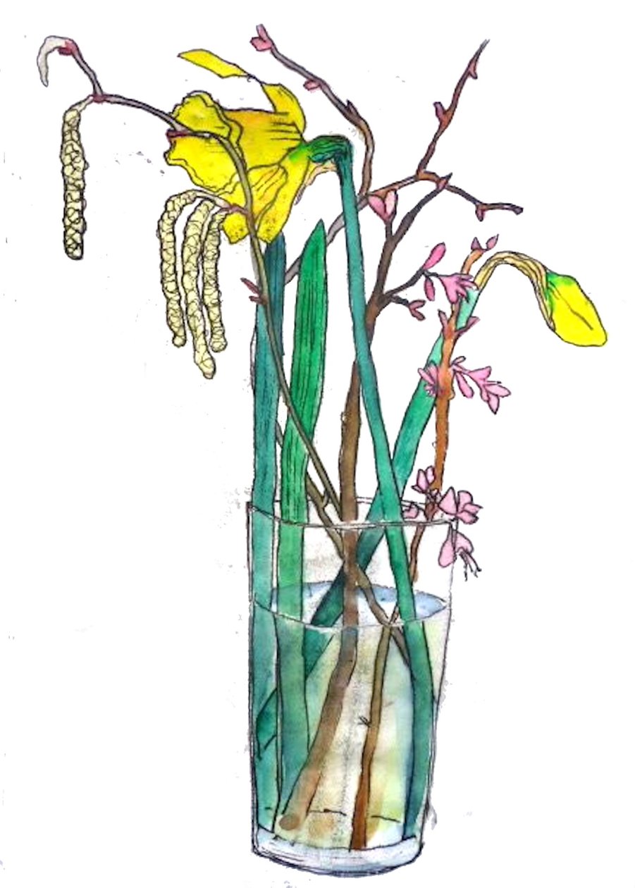 Narcisos de Sarah Thompson Engels