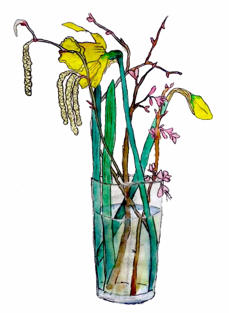 Narcisos y amentos, 2018 de Sarah Thompson Engels
