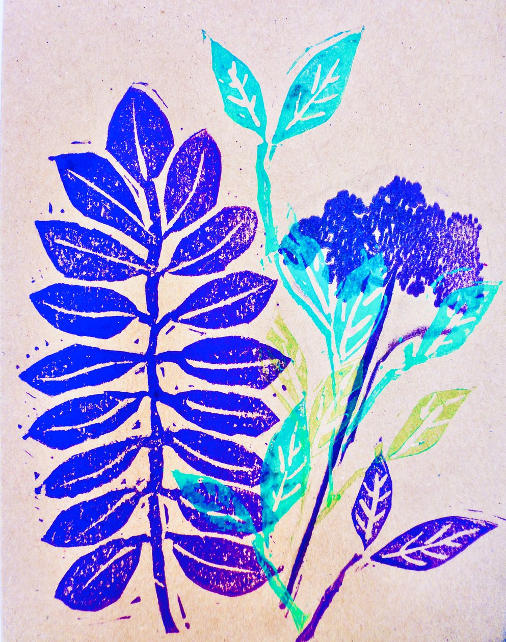 Flora de Sarah Thompson Engels
