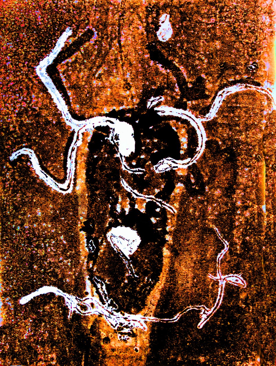 Abstracto naranja de Sarah Thompson Engels