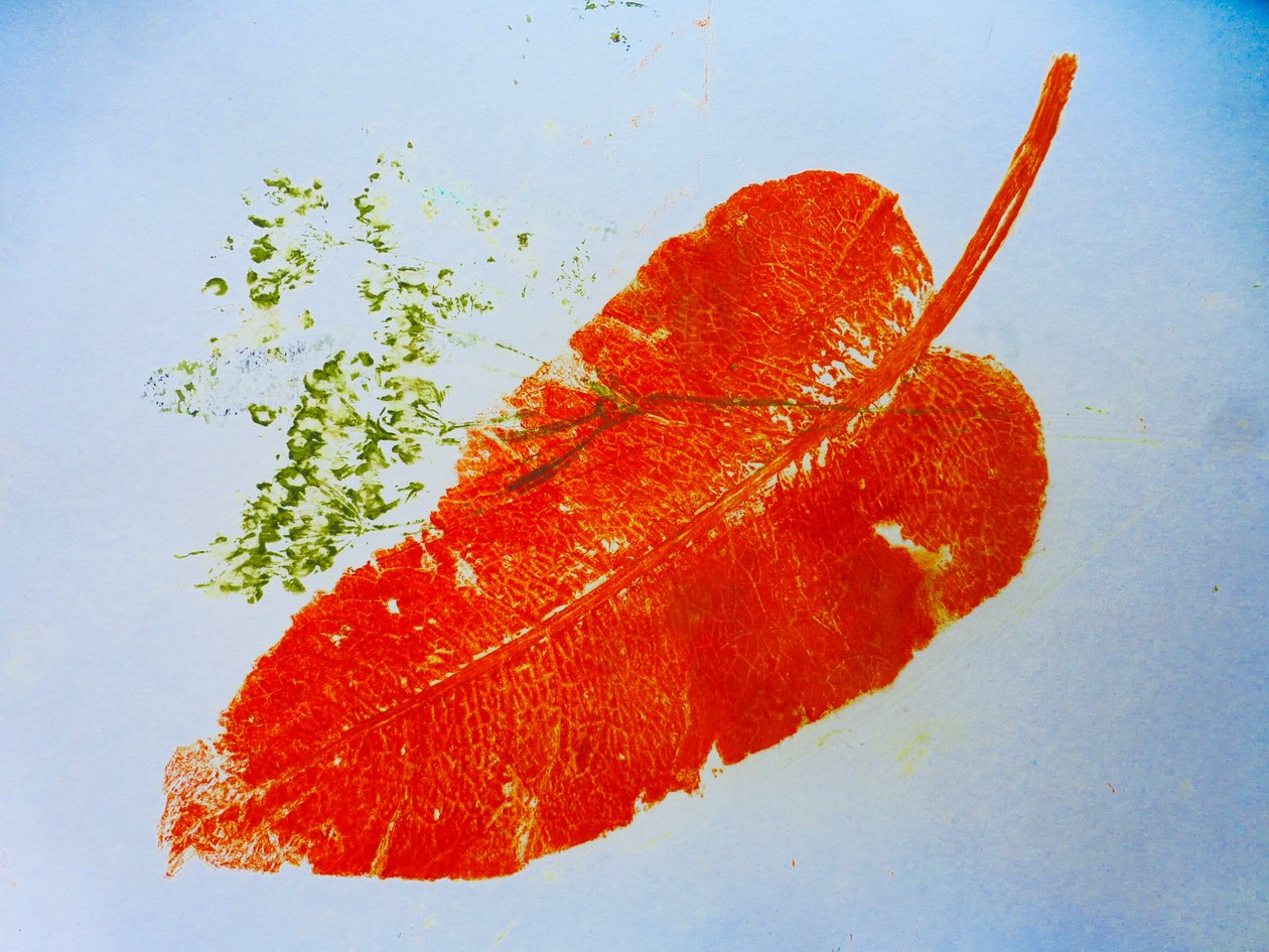 Hoja naranja, 2020 de Sarah Thompson Engels