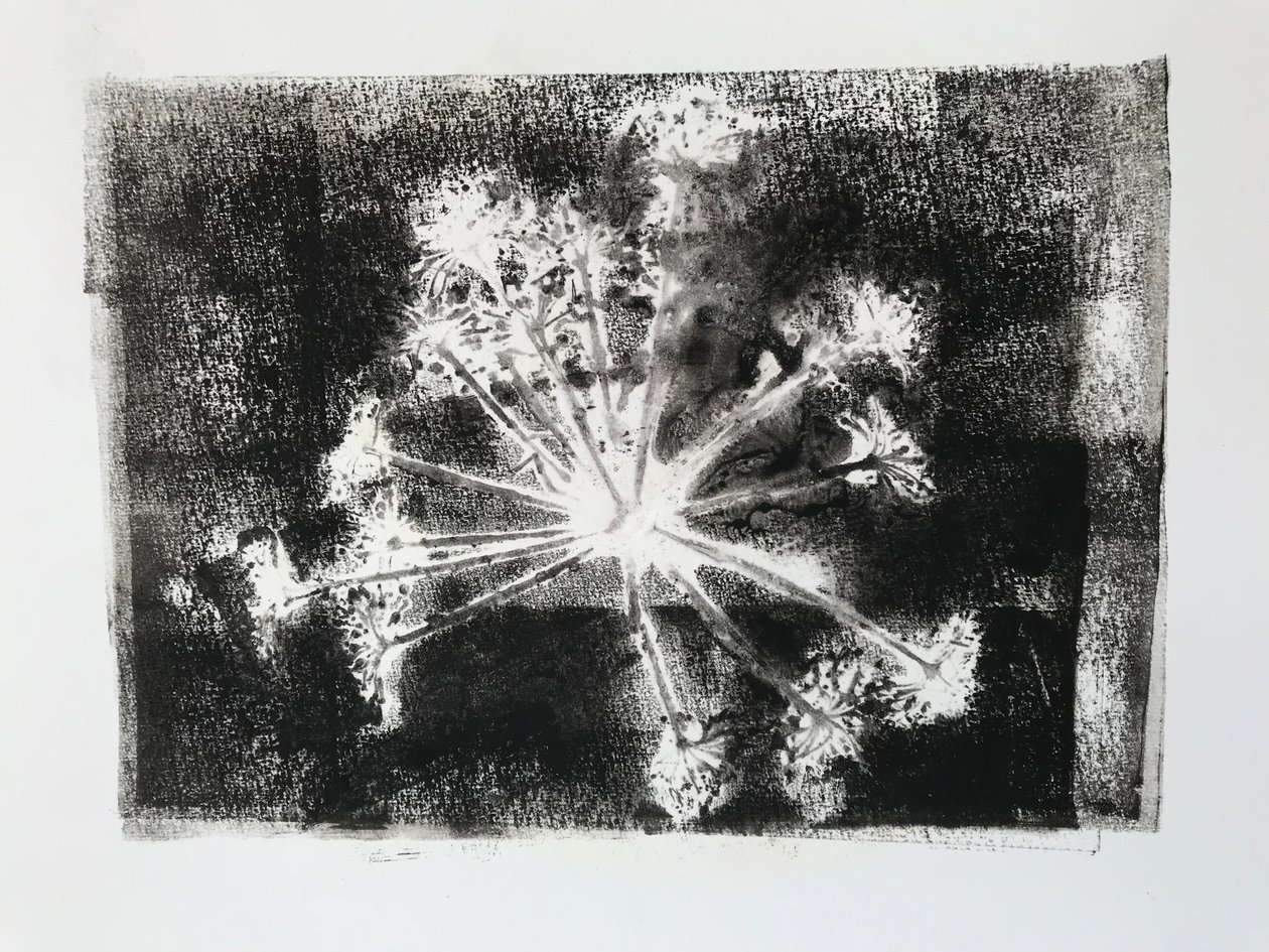 Cabeza de semilla II, 2020 de Sarah Thompson Engels