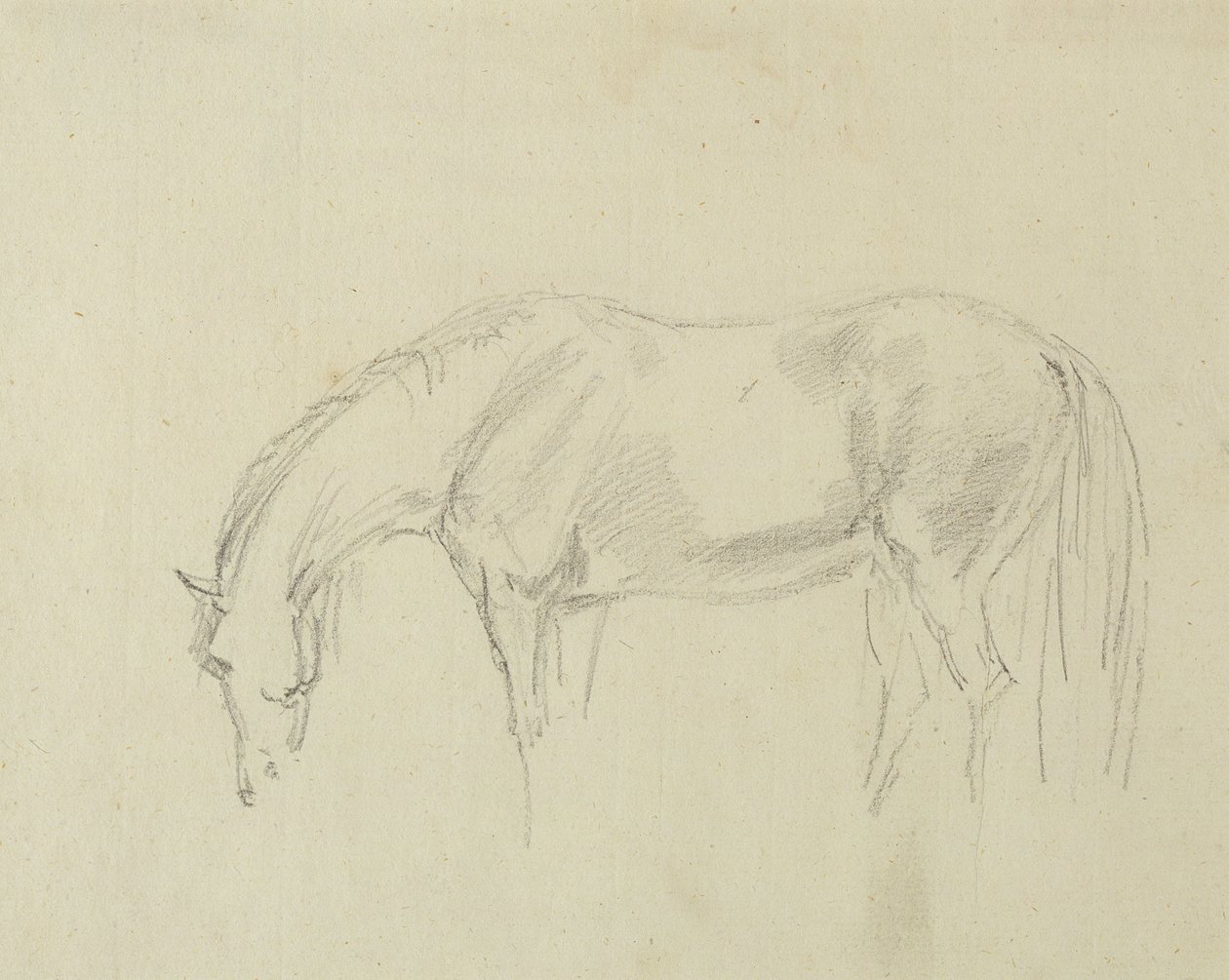 Un caballo pastando de Sawrey Gilpin