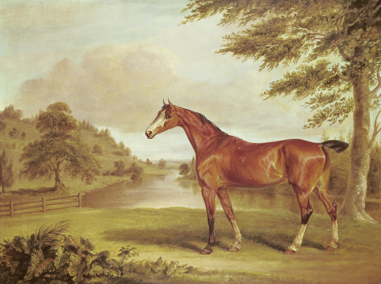 Caballo cazador en un paisaje boscoso con río de Sawrey Gilpin
