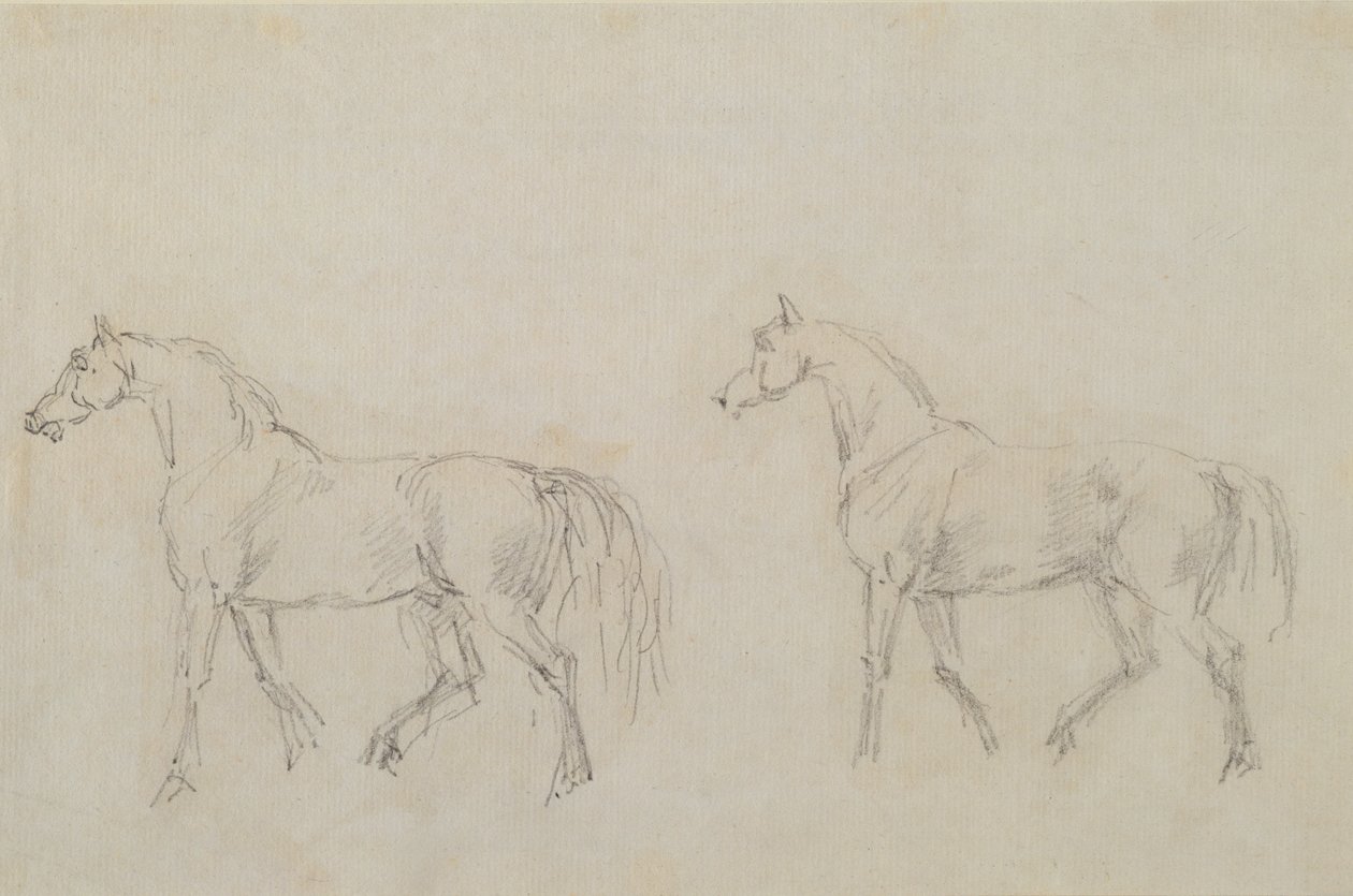 Dos caballos caminando a la izquierda (grafito sobre papel) de Sawrey Gilpin