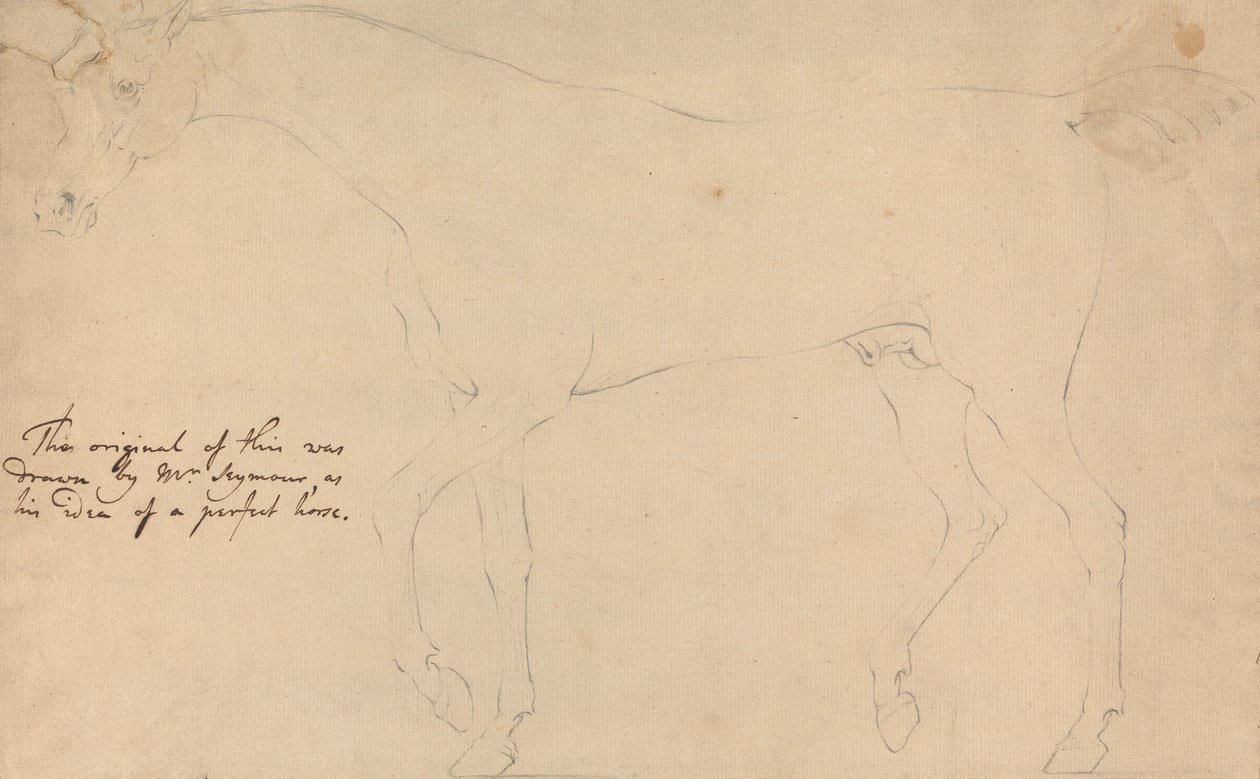 Un caballo perfecto de Sawrey Gilpin