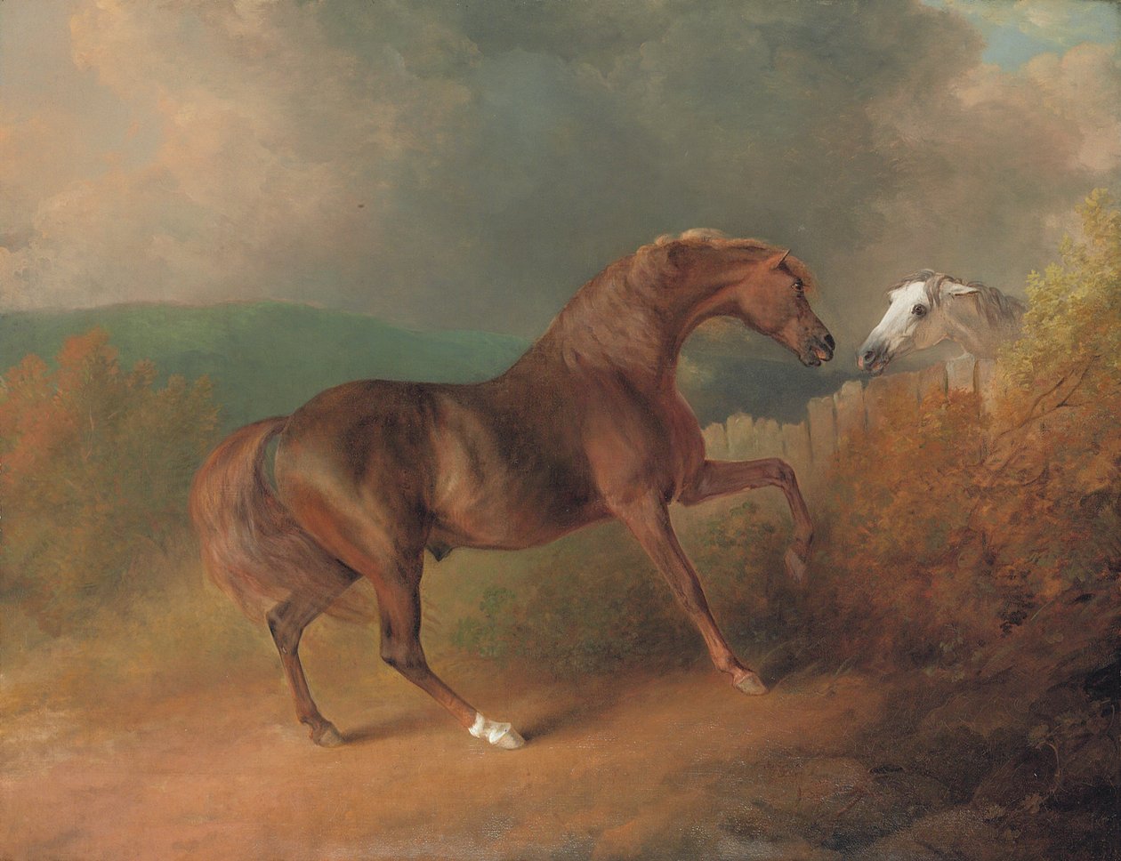 Júpiter del Coronel Thornton, por Eclipse de una yegua por Tartar, junto a una cerca, con una yegua gris, en Thornville Royal, 1792 de Sawrey Gilpin