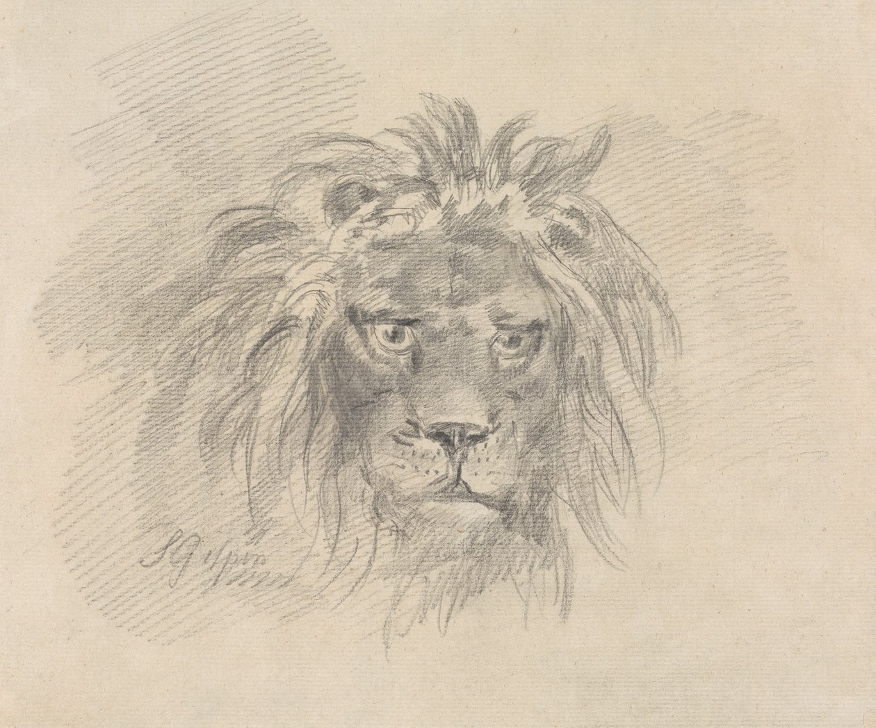Cabeza de león de Sawrey Gilpin