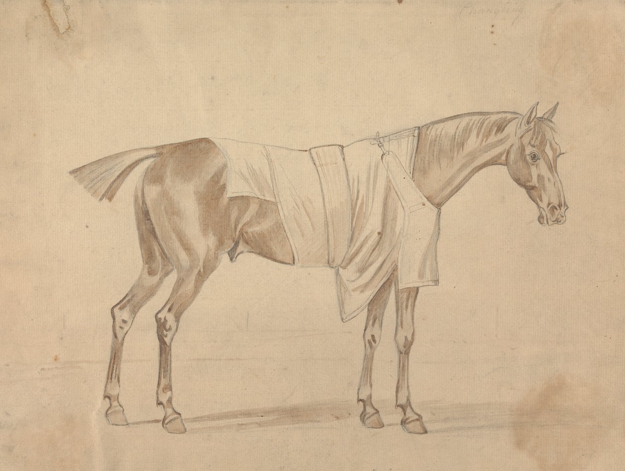 Caballo vestido con manta de Sawrey Gilpin
