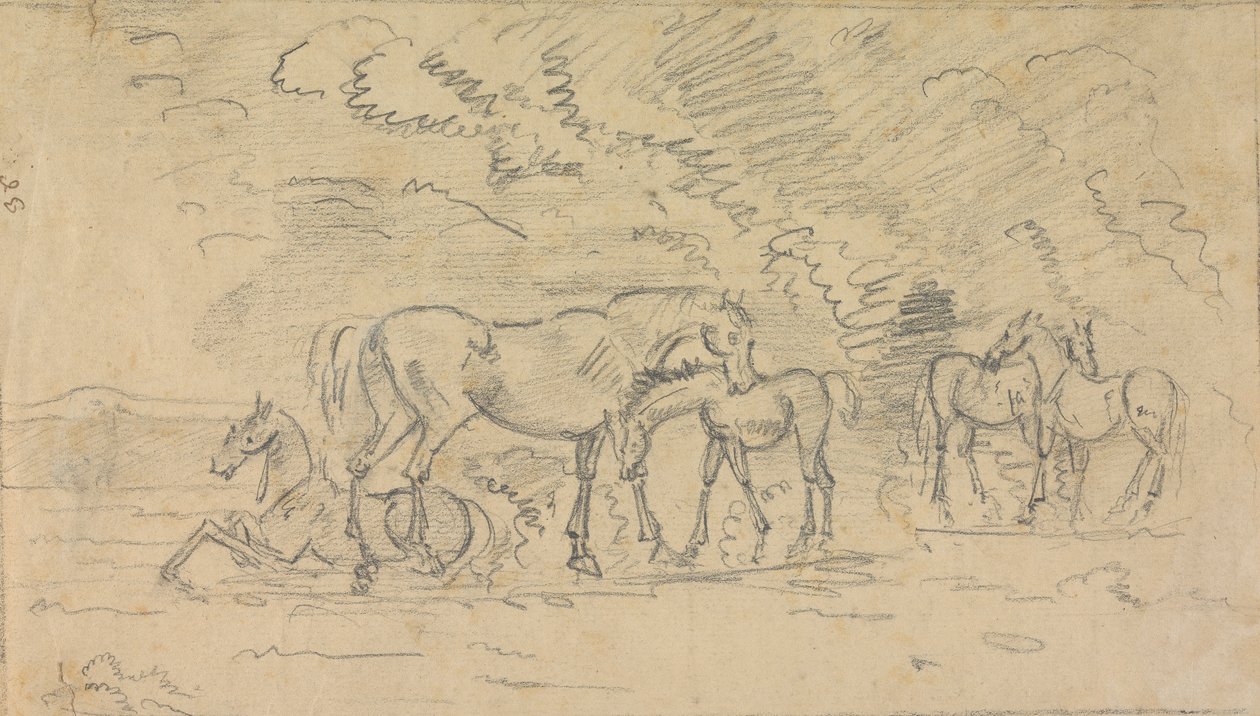 Caballos en un prado de Sawrey Gilpin