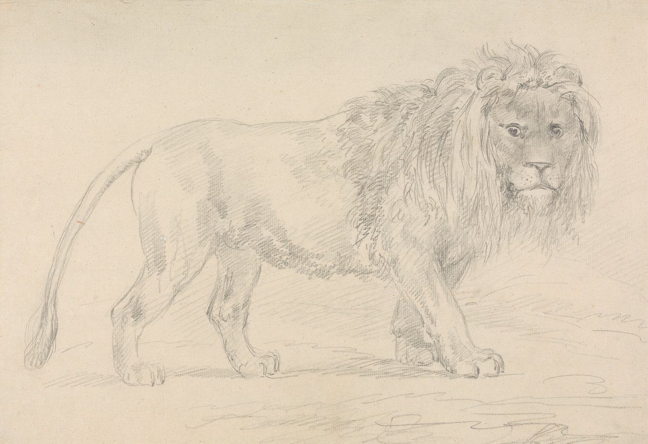 León Andante de Sawrey Gilpin