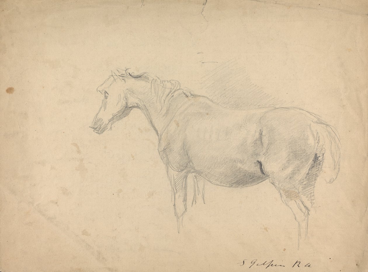 Boceto de un caballo de Sawrey Gilpin