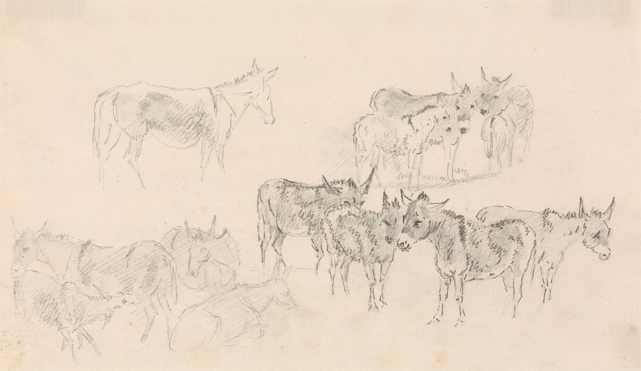 Estudios sobre burros de Sawrey Gilpin