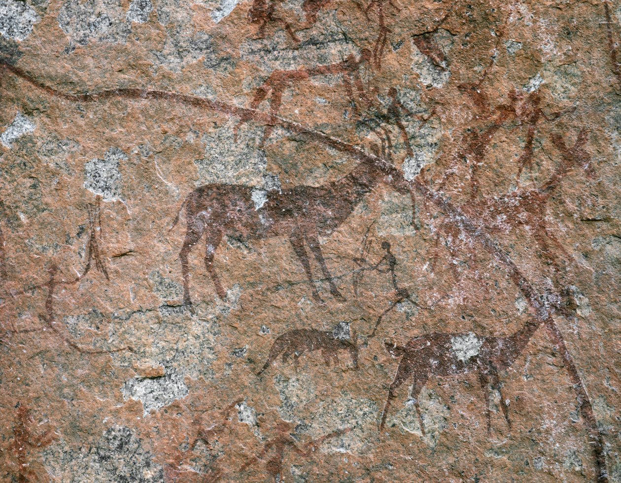 ARTE AFRICANO: Pintura rupestre en Ngomo Carera, en la cordillera de Domboshawa, a 20 millas al nord... (fresco) de School African