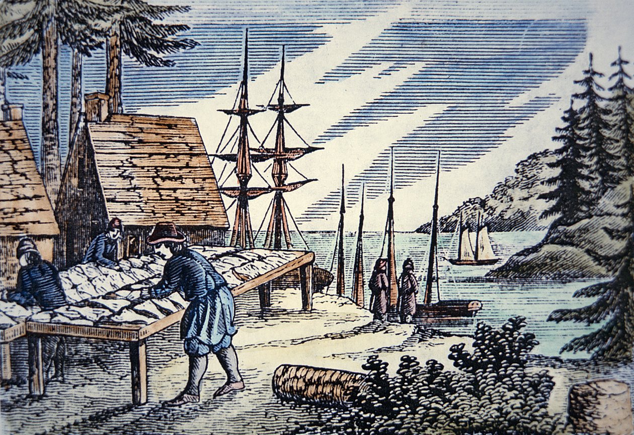 Pescadores secando bacalao en Nueva Inglaterra, de un grabado en madera del siglo XVII de School American