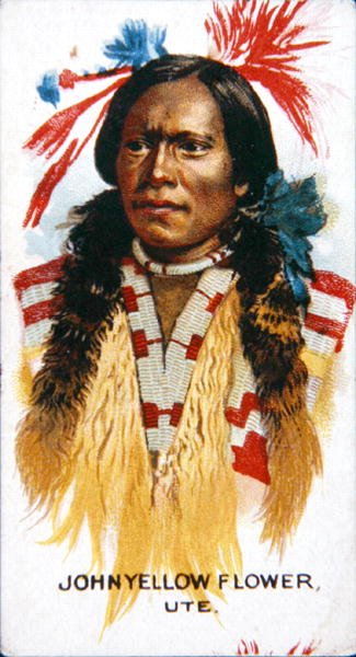 John Yellow Flower de School American