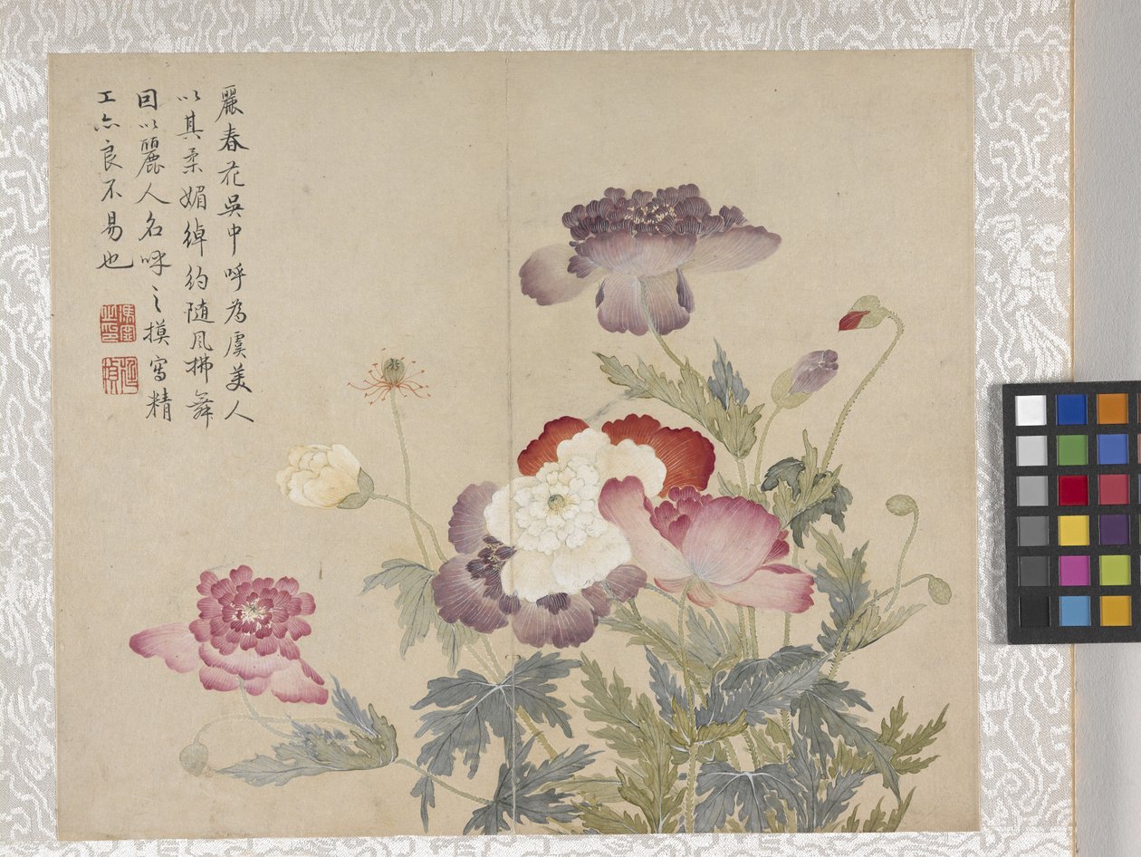 Álbum de flores de 8 hojas, mediados del siglo XVIII (tinta y color sobre papel) de School Chinese
