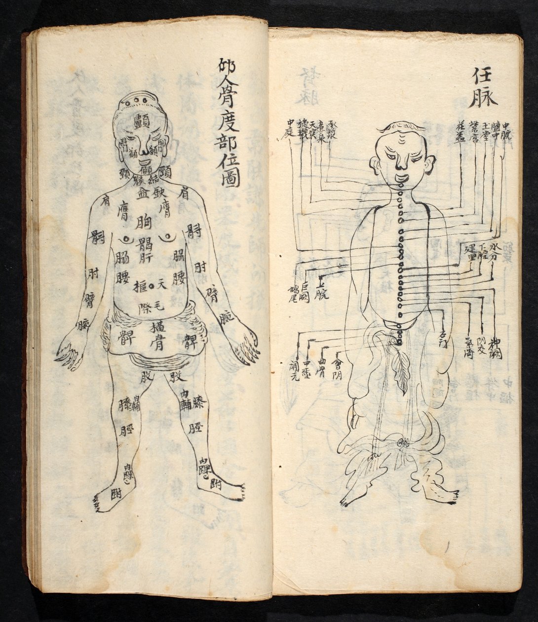 Puntos de acupuntura a lo largo de la línea central del cuerpo, de Jing Guan Qi Zhi, 
