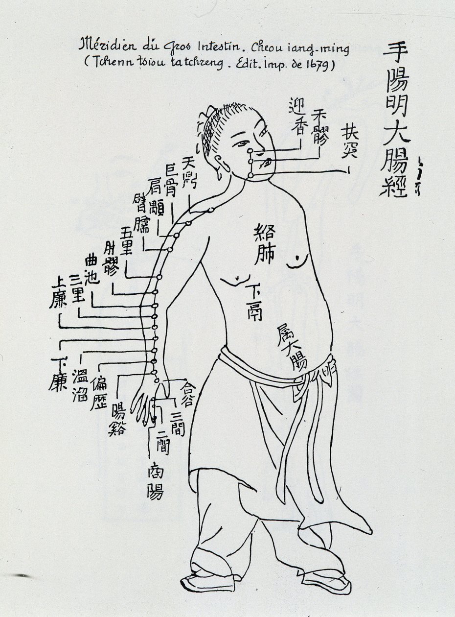 Acupuntura china: el intestino grueso de School Chinese