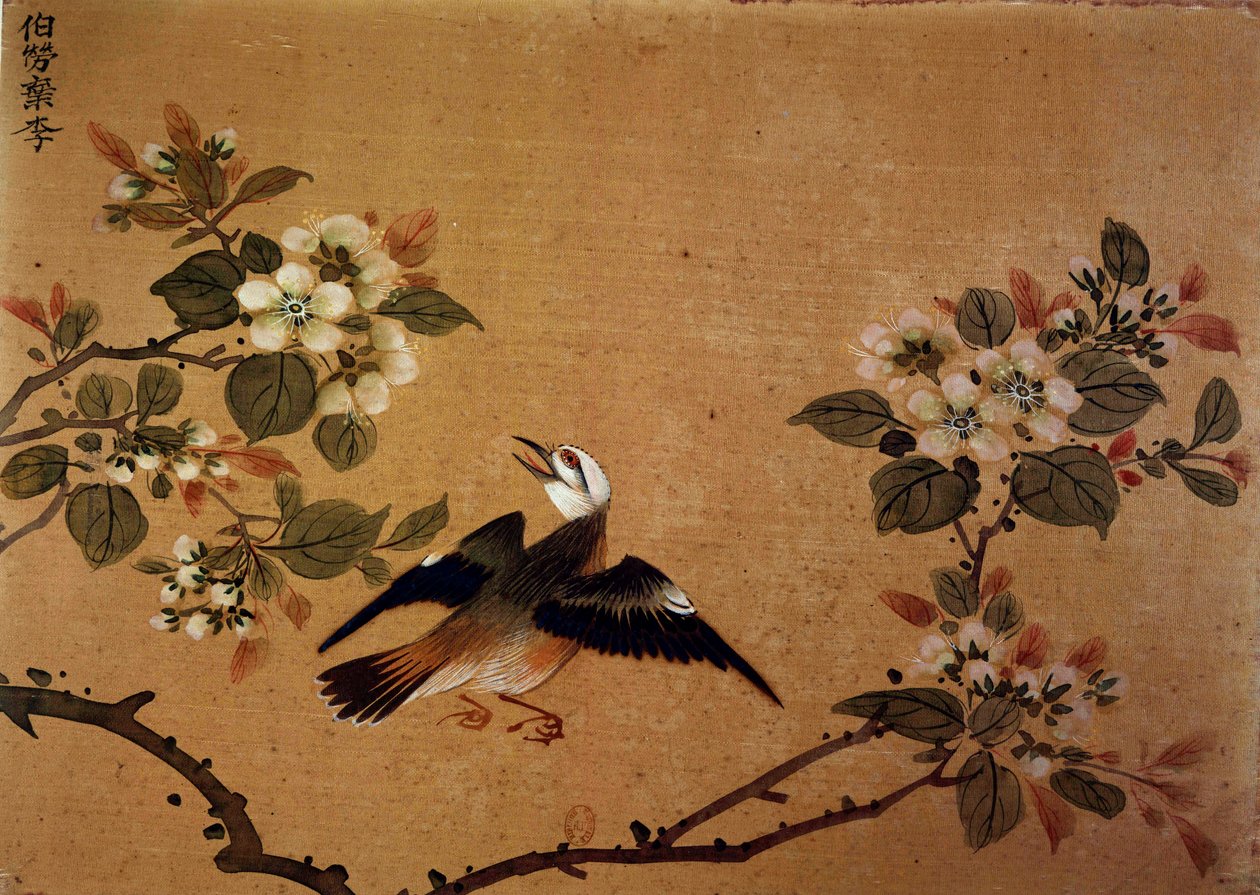Arte chino: pájaro y flores. Pintura en seda del siglo XVI de School Chinese