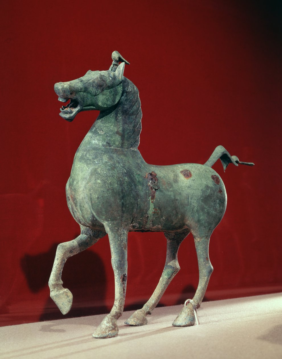 Caballo, de Wu-wei, Kansu, Dinastía Han Oriental de School Chinese