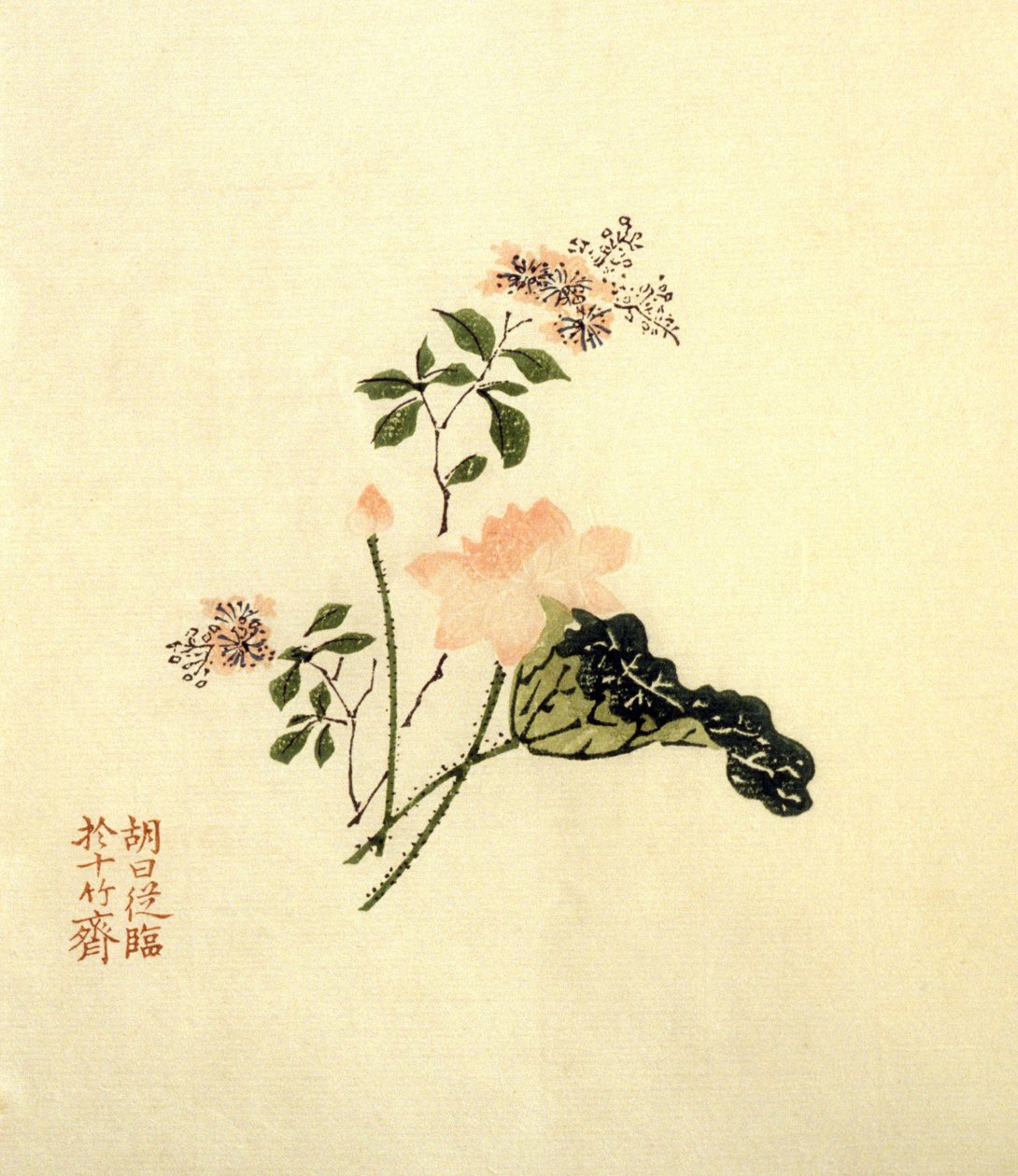 Flor de loto de School Chinese