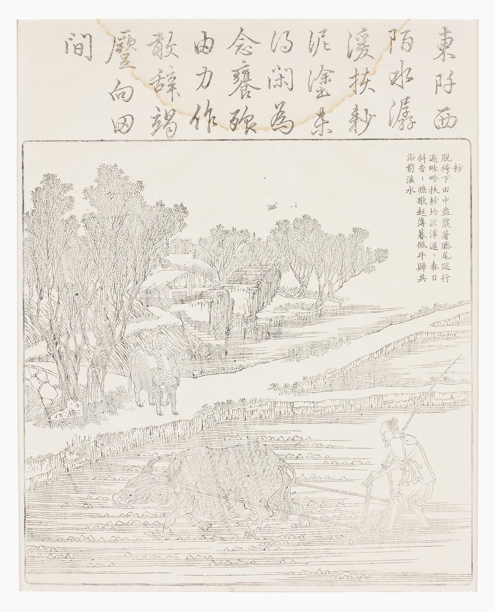 Labranza del arrozal en clima seco de School Chinese