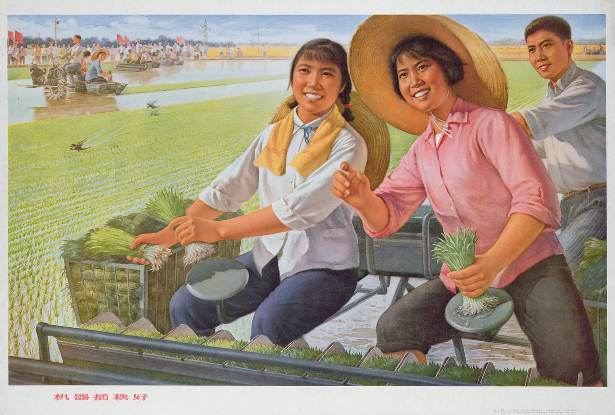 Trasplantar plantones con una máquina es bueno, cartel de propaganda de la Revolución Cultural China de School Chinese