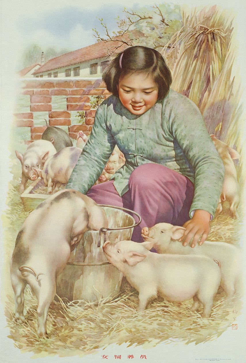 Mujer criadora de cerdos (o criadora de cerdos), cartel de propaganda de la Revolución Cultural China (litografía en color) de School Chinese