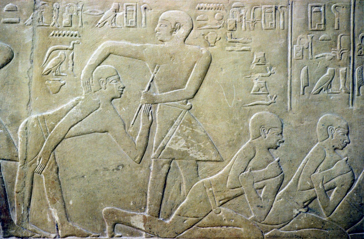 Ancient Egypt, Relief, Village elders forcd to admit their faulty tax returns to clerks, Tumba de Merereuka, VI Din (foto) de School Egyptian