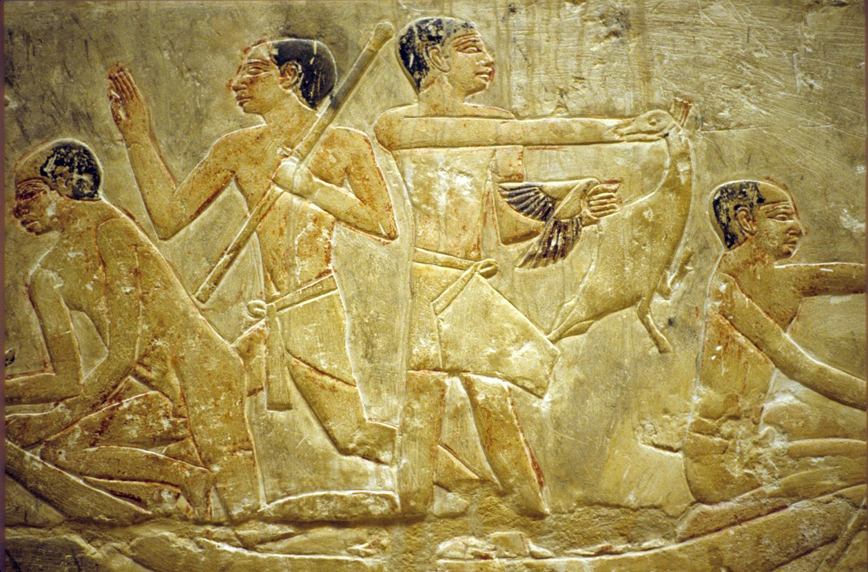 Antiguo Egipto, Grabado mural/pintura, Mastaba/Tumba de Idout, Sakkara/Saqqara, Atrapar aves en el pantano, Dinastía VI (foto) de School Egyptian