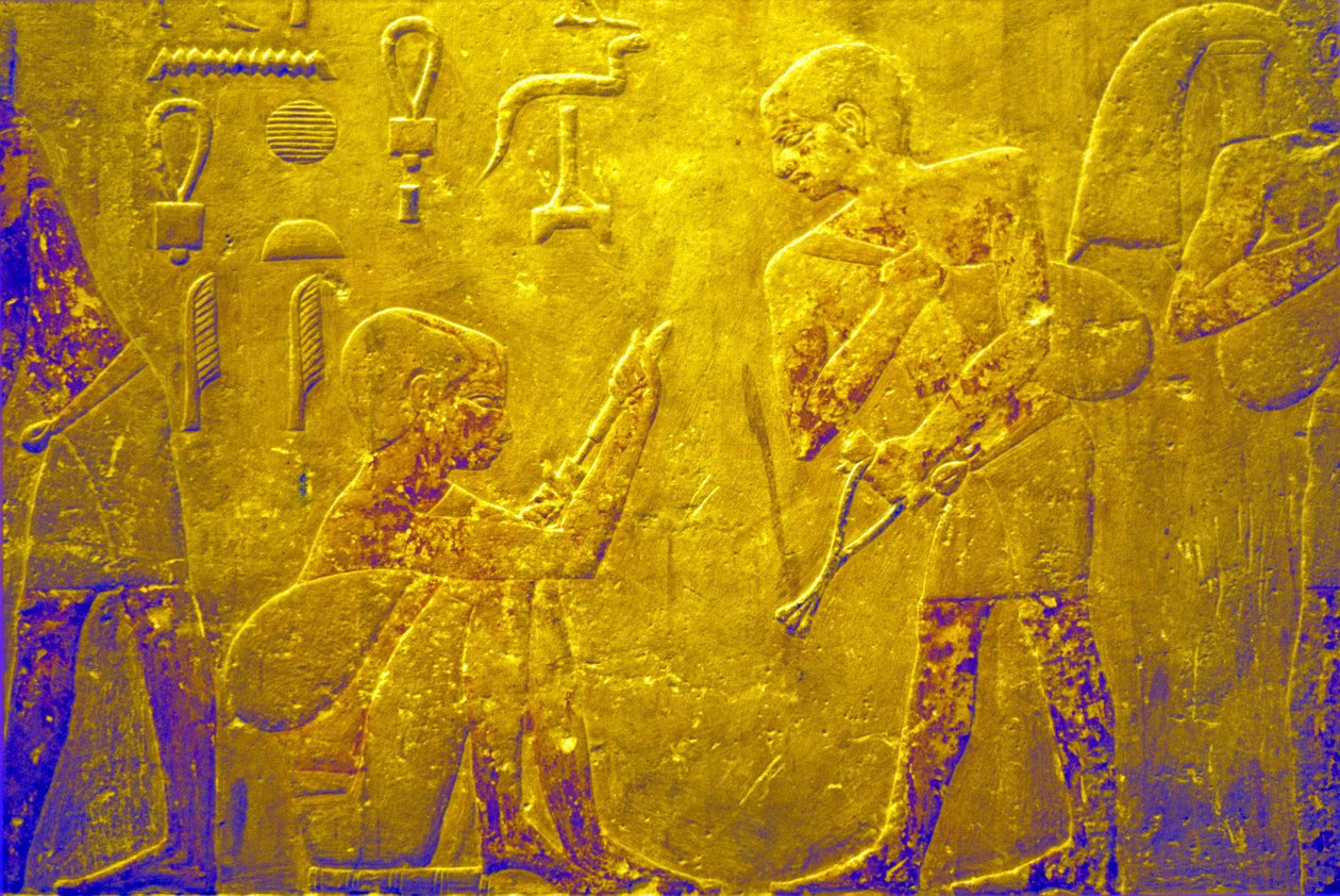 Antiguo Egipto, Pintura mural, Mastaba/Tumba de Ti, Saqqara, V Dinastía, Mercado (foto) de School Egyptian