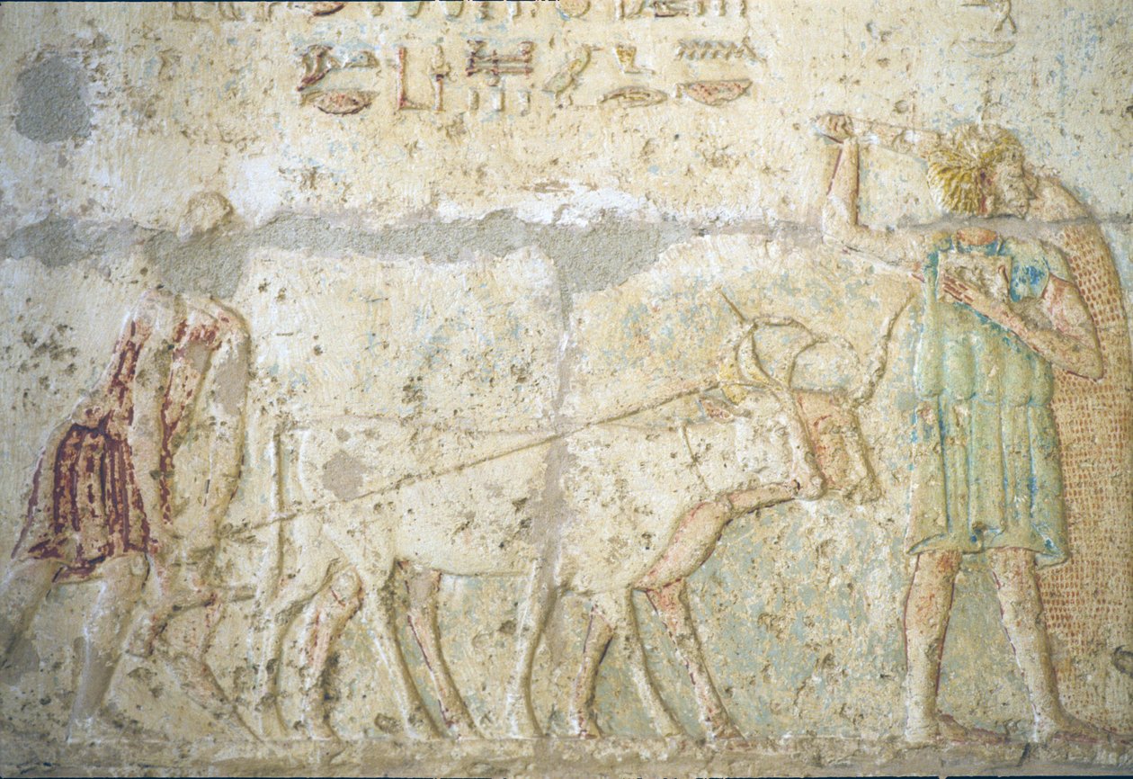 Antiguo Egipto, Pintura mural, Tumba de Petosiris, Tuna el Gebel, 300 a.C., Arado y siembra (foto) de School Egyptian