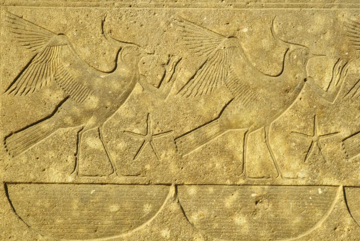 Antiguo Egipto, Pintura mural/talla, Avefrías, representando las diversas tribus de Egipto, Templo de Karnak, Luxor (foto) de School Egyptian
