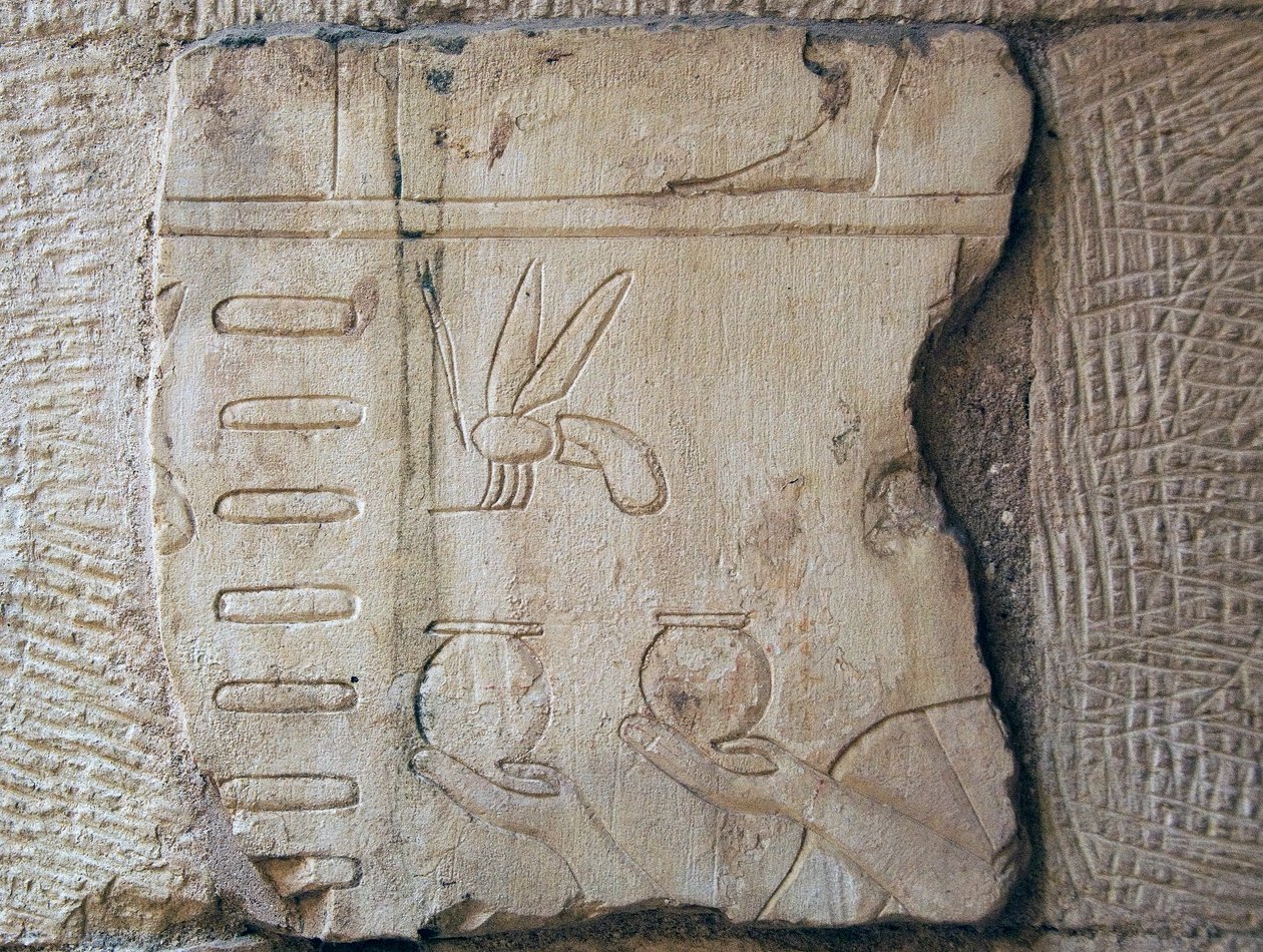 (detalle) de School Egyptian