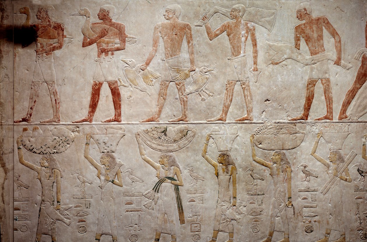 Antigüedad egipcia: hombres llevando patos. Relieve de piedra caliza de la Capilla de Mastaba de Akhethetep en Saqqara. 5ª dinastía (alrededor de 2500-2350 a.C.) 2300 a.C. París, Museo del Louvre de School Egyptian