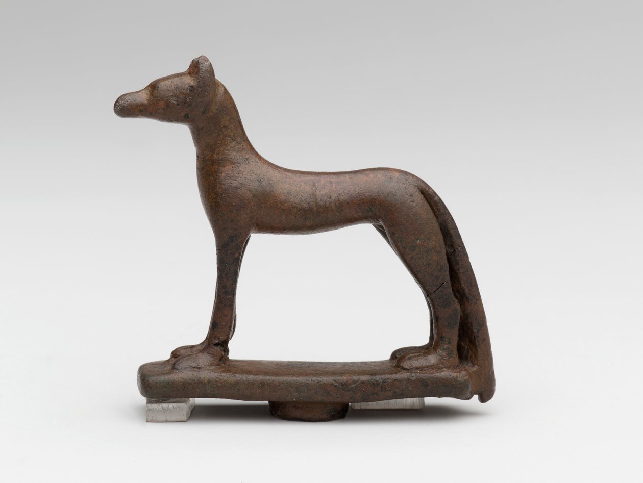 Chacal o perro de School Egyptian