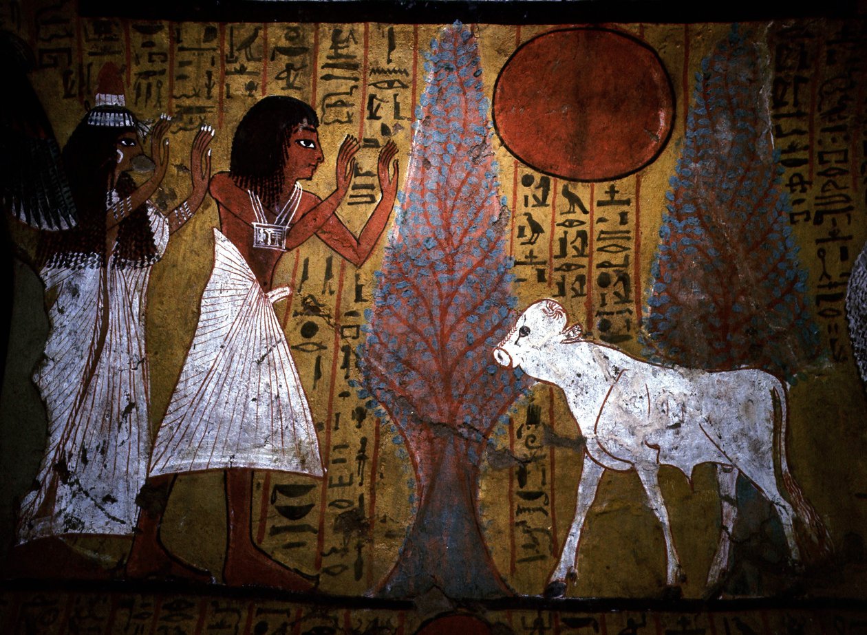 Luxor - Tebas: Orilla izquierda del Nilo. Página web de DEIR EL MEDINEH: Pueblo y necrópolis de artesanos. Detalle de un mural de una tumba que muestra al ternero, de piernas aún delgadas y frágiles, que encarna al futuro apis.Dinastía XIX. de School Egyptian