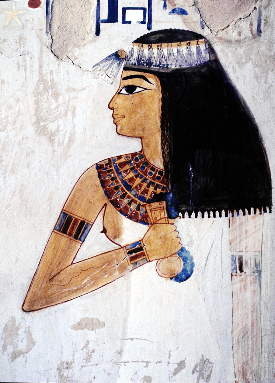 Luxor Tebas: Cisjordania, Necrópolis de los Nobles, Valle de los Nobles. Tumba de Menna (dinastía XVIII). de School Egyptian