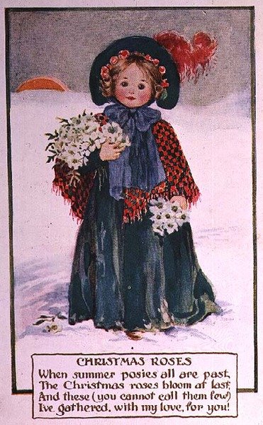 Rosas de Navidad de School English